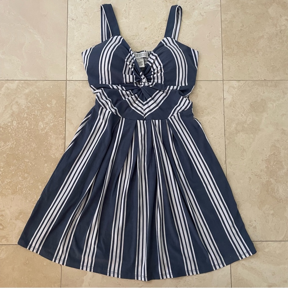 Striped blue dress